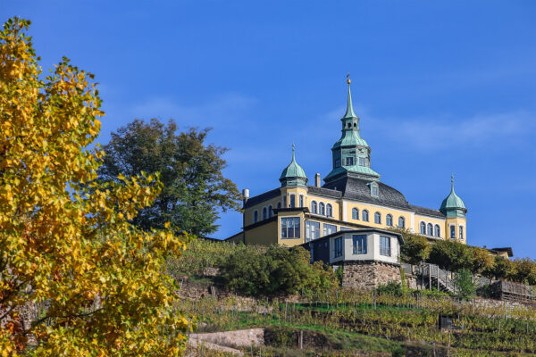 Das Spitzhaus in Radebeul erhebt sich majestätisch über die Radebeuler Weinberghänge und wartet geduldig auf seine Mittagsgäste. Der Himmel strahlt tiefblau. Der Baum am linken Bildrand ist schon leicht herbstlich gefärbt.