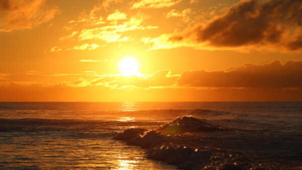 Die Sonne am Stand von Maspalomas auf Gran Canaria ist gerade aufgegangen und taucht die gesamte Szenerie in gelb-orangenes Licht. Eine Welle rollt über den Atlantik an den Strand. In der Ferne fliegen zwei Vögel über das Meer.