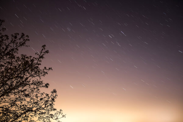 Aufgrund einer sehr langen Belichtungsdauer von knapp sechs Minuten entstehen Starstripes durch den Sternenhimmel, da sich der Himmel über uns weiterdreht. Die Blickrichtung geht von Nepperwitz aus in Richtung Leipzig, weshalb die Lichtverschmutzung den unteren Bildbereich stark belichtet und ein vertikaler Farbverlauf von gelb über lila zu schwarz entsteht.