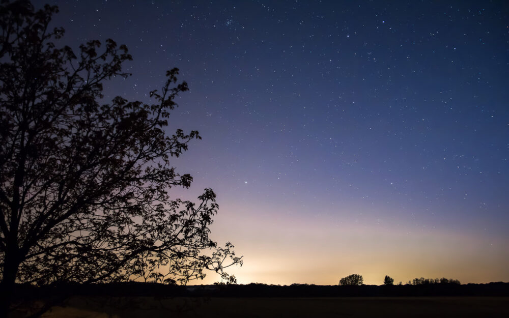 Mit einer für das sehr lichtarme Motiv verhältnismäßig kurzen Belichtungsdauer von 20 Sekunden sind die Sterne am Himmel tatsächlich noch als solche im Foto erkennbar. Die Blickrichtung geht von Nepperwitz aus in Richtung Leipzig, weshalb die Lichtverschmutzung den unteren Bildbereich stärker belichtet und ein vertikaler Farbverlauf von gelb bis dunkelblau entsteht. Im linken Vordergrund ist in Umrissen ein Baum zu sehen.