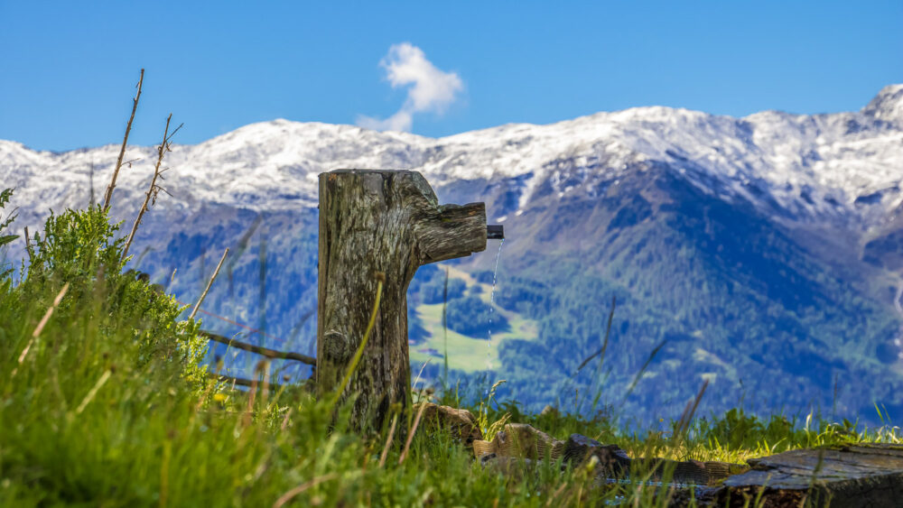 Im Vordergrund ist eine Wasserquelle auf dem Vinsch'ger Höhenweg eingerahmt von sattgrünen Gräsern zu sehen. Im Hintergrund erhebt sich der schneebedeckte Gebirgszug der südlichen Talseite des Vinschgau unter blauem Himmel.