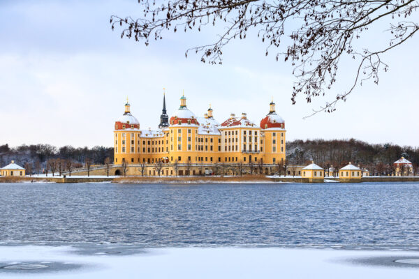 Das schneebedeckte Schloss Moritzburg mitten im Winter steht auf seiner Insel inmitten des Schlossteiches. Von oben ragt der Ast eines Baumes in das Bild hinein und die ersten Meter des Ufers im Vordergrund sind zugefroren und ebenfalls mit Schnee bedeckt. Der leichte Blauton in der Luft aufgrund des kalten Wetters und die Gelbtöne der Fassade des Schlosses, der Mauern der Insel und der Gräser am Inselufer ergeben eine schöne Farbkombination.