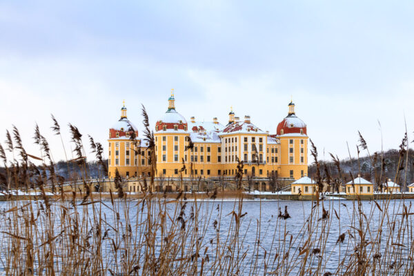 Das schneebedeckte Schloss Moritzburg mitten im Winter steht auf seiner Insel inmitten des Schlossteiches. Im Vordergrund wiegen Ufergräser sanft im Wind. Der leichte Blauton in der Luft aufgrund des kalten Wetters und die Gelbtöne der Fassade des Schlosses und der Gräser ergeben eine schöne Farbkombination.