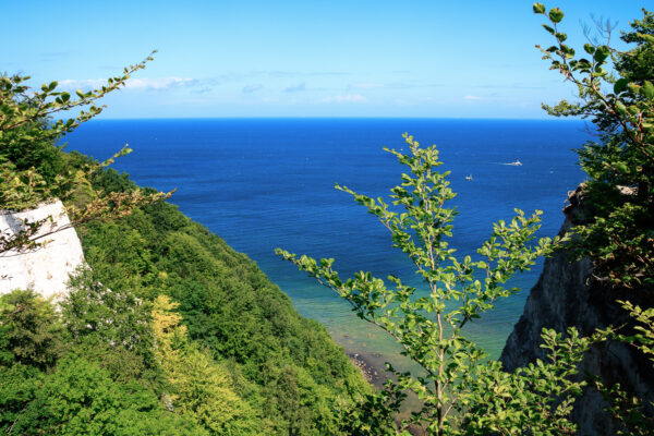 Ausblick vom Königsstuhl | Jasmund Nationalpark, Rügen