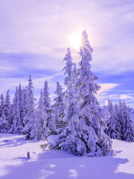 Neuschnee auf der Planai | Schladming, Steiermark