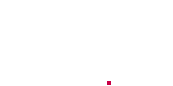 Busch Photo.Art Logo 2:1 600px transparent